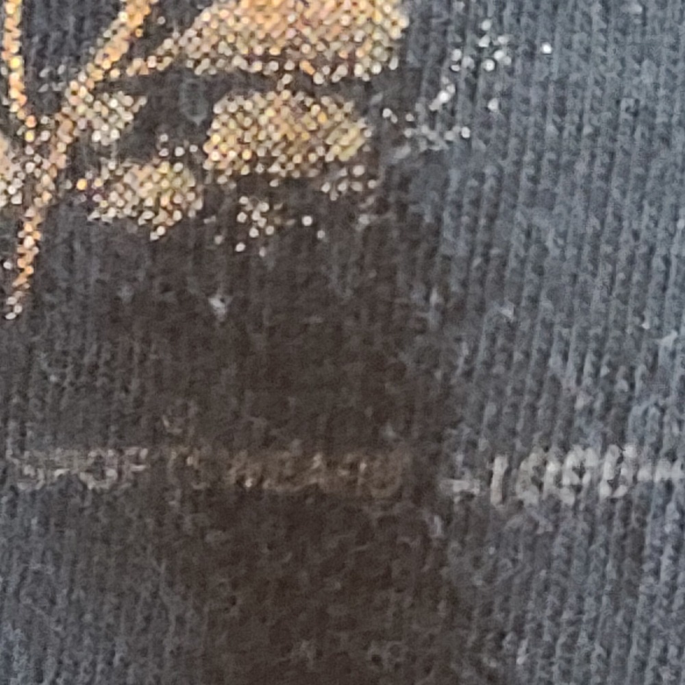 Vintage 90s Single Stitched T-shirt Running Wild Made in USA Size XL San Fran 96 - Picture 3 of 16